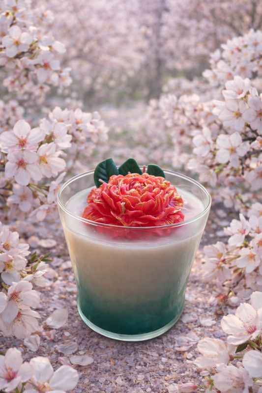 Cherry Blossom